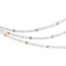 Лента светодиодная NT-A60-8mm 12V Warm3500 (4.8 W/m, IP20, 3528, 5m) (Arlight, Открытый)