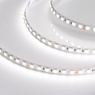 Лента светодиодная RT-B96-10mm 24V Day4000 (23 W/m, IP20, 5060, 5m) (Arlight, Открытый)