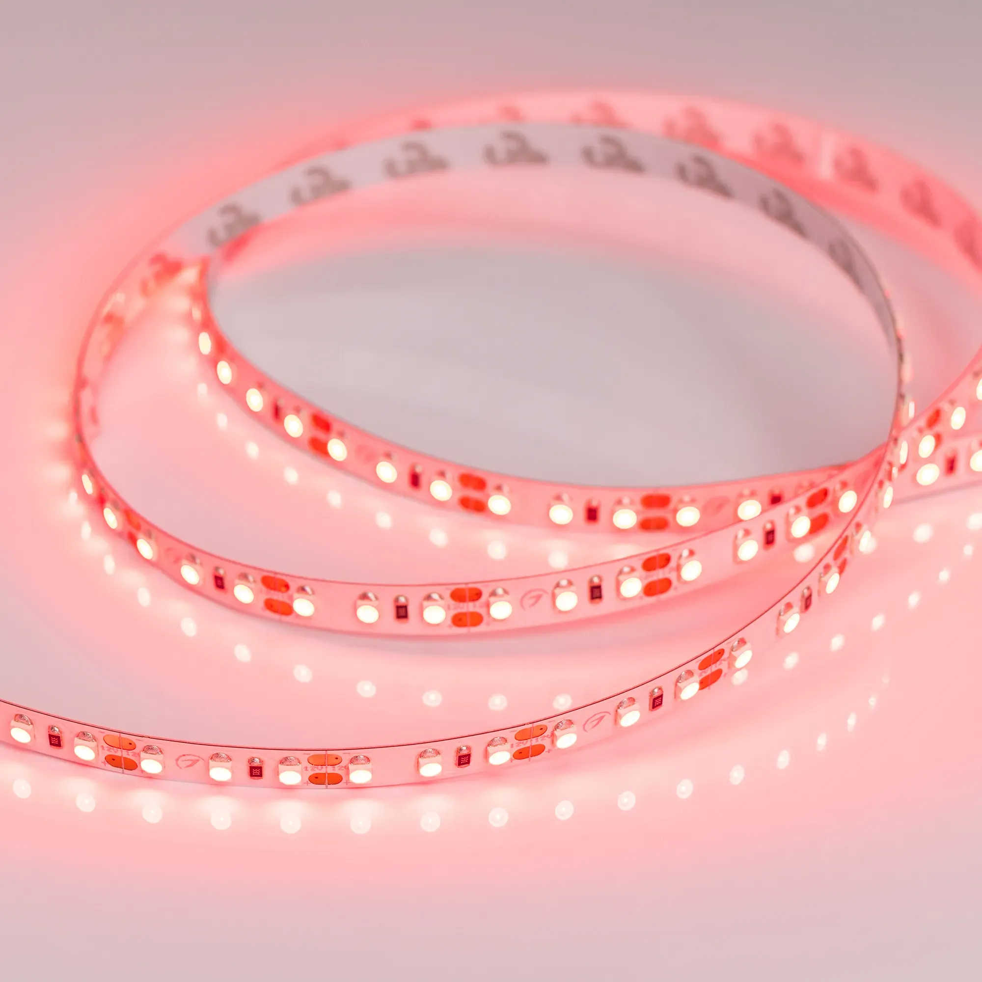 Лента светодиодная RT-A120-8mm 12V Red (9.6 W/m, IP20, 2835, 5m) (Arlight, 9.6 Вт/м, IP20) - изображение товара
