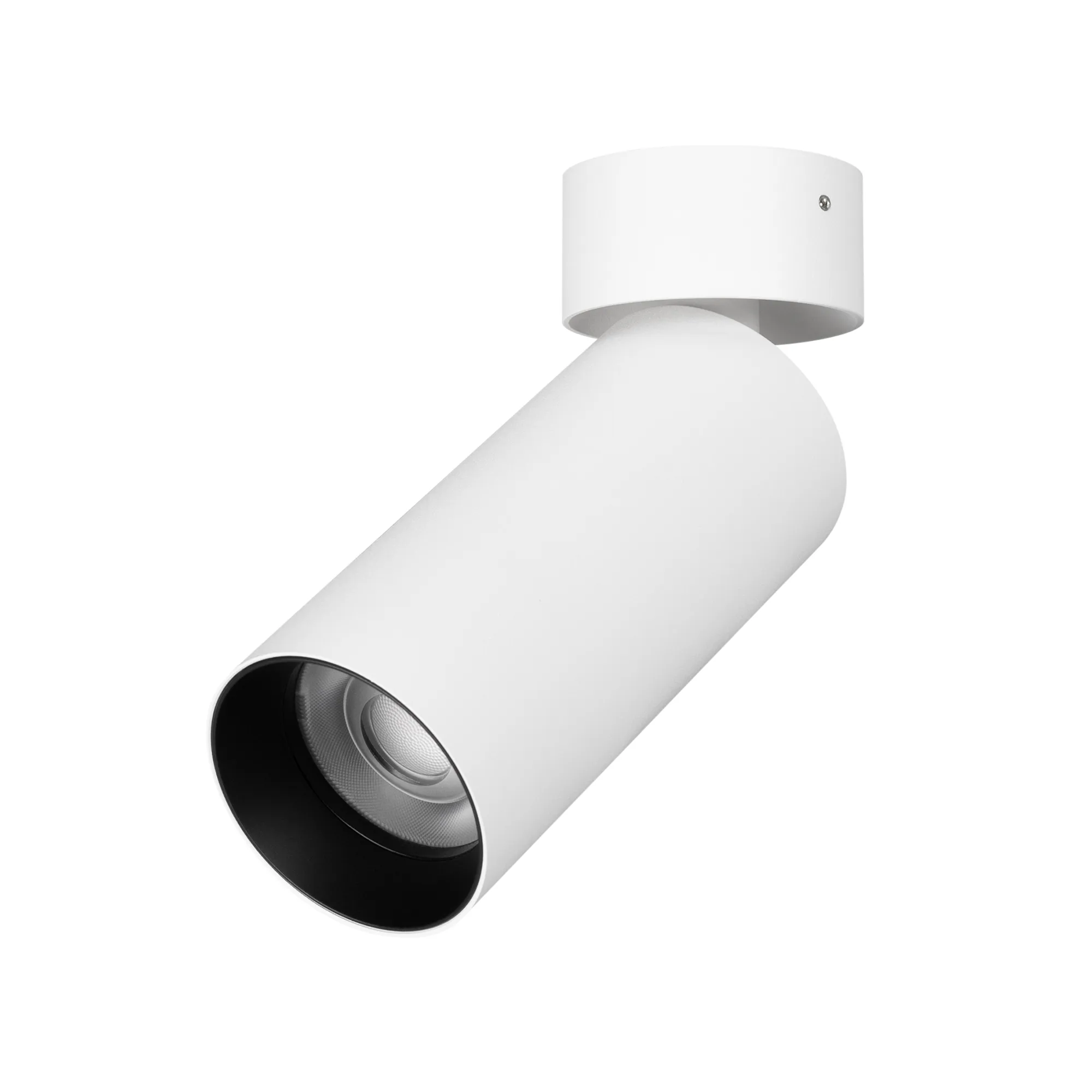 Светильник SP-GABI-SURFACE-FLAP-R50-9W Day4000 (WH, 36 deg, 230V) (Arlight, IP40 Металл, 5 лет) - изображение товара