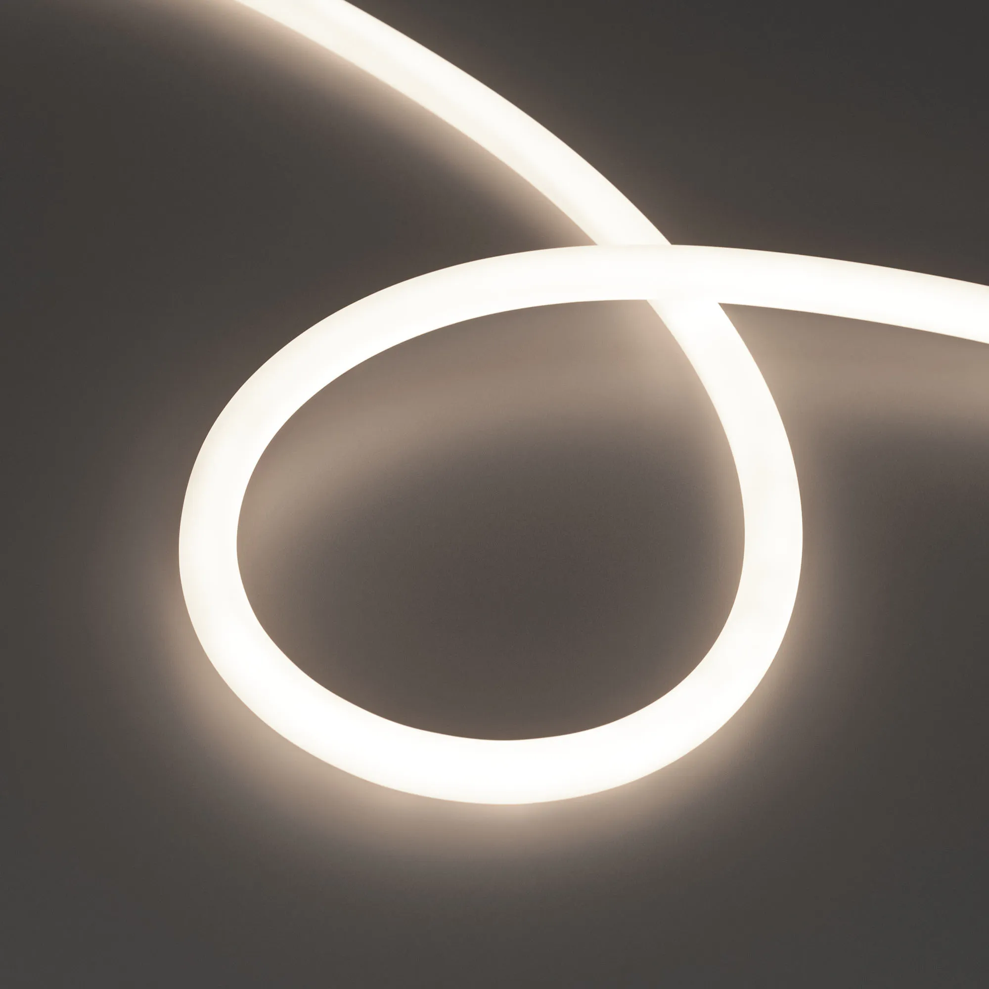 Лента светодиодная герметичная MOONLIGHT-TOP-S-M560-D13mm 24V Day4300 (13 W/m, IP65, 5m, wire x1, трос) (Arlight, Вывод прямой, 3 года) - изображение товара