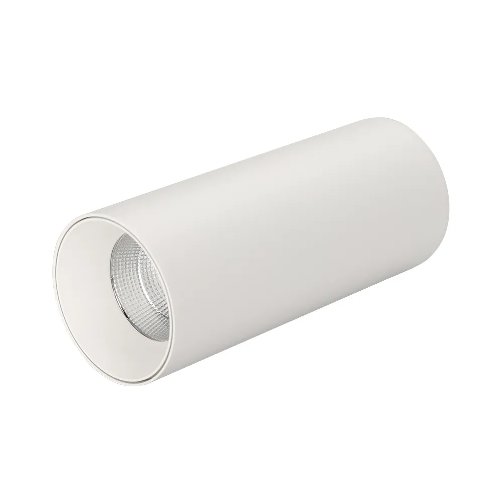 Светильник SP-POLO-SURFACE-R65-8W White5000 (WH-WH, 40 deg) (Arlight, IP20 Металл, 3 года)