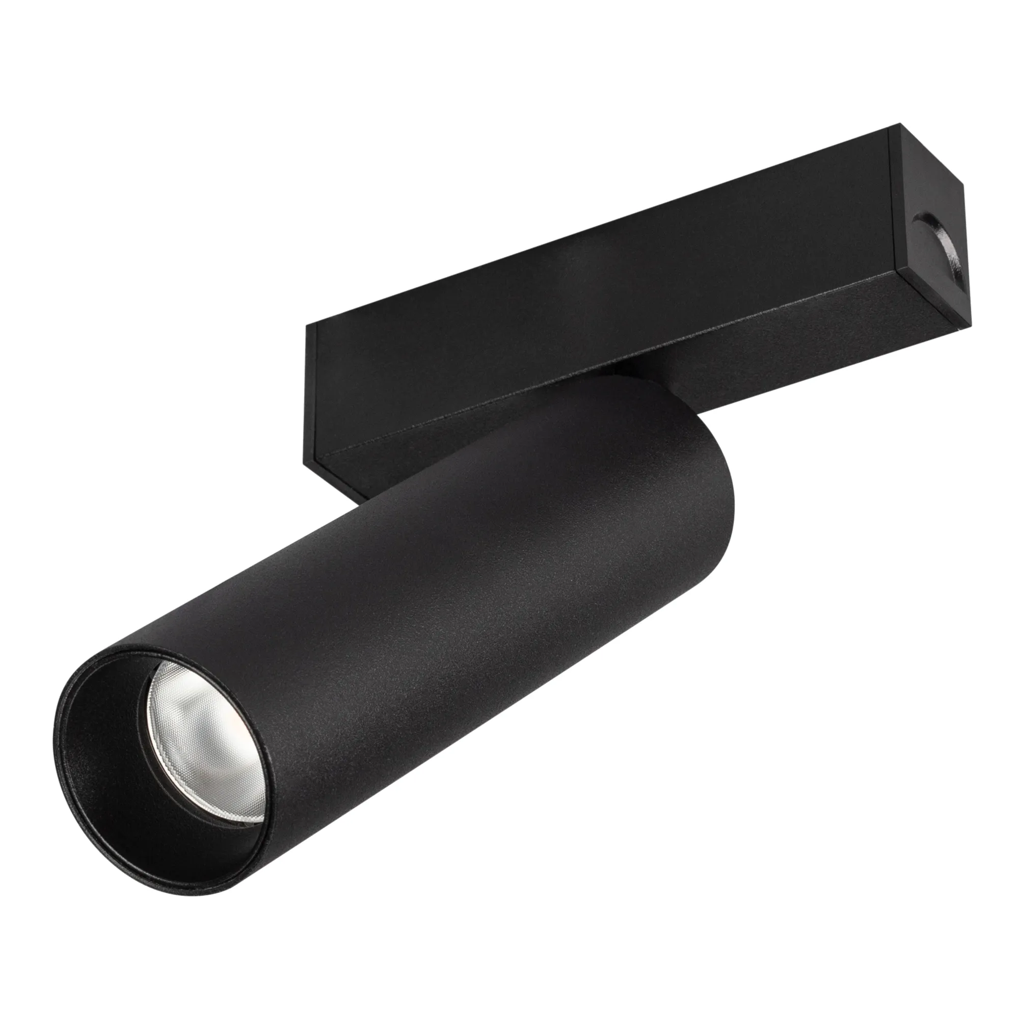 Светильник MAG-SPOT-25-R120-12W Day4000 (BK, 30 deg, 24V, DALI) (Arlight, IP20 Металл, 3 года) - изображение товара