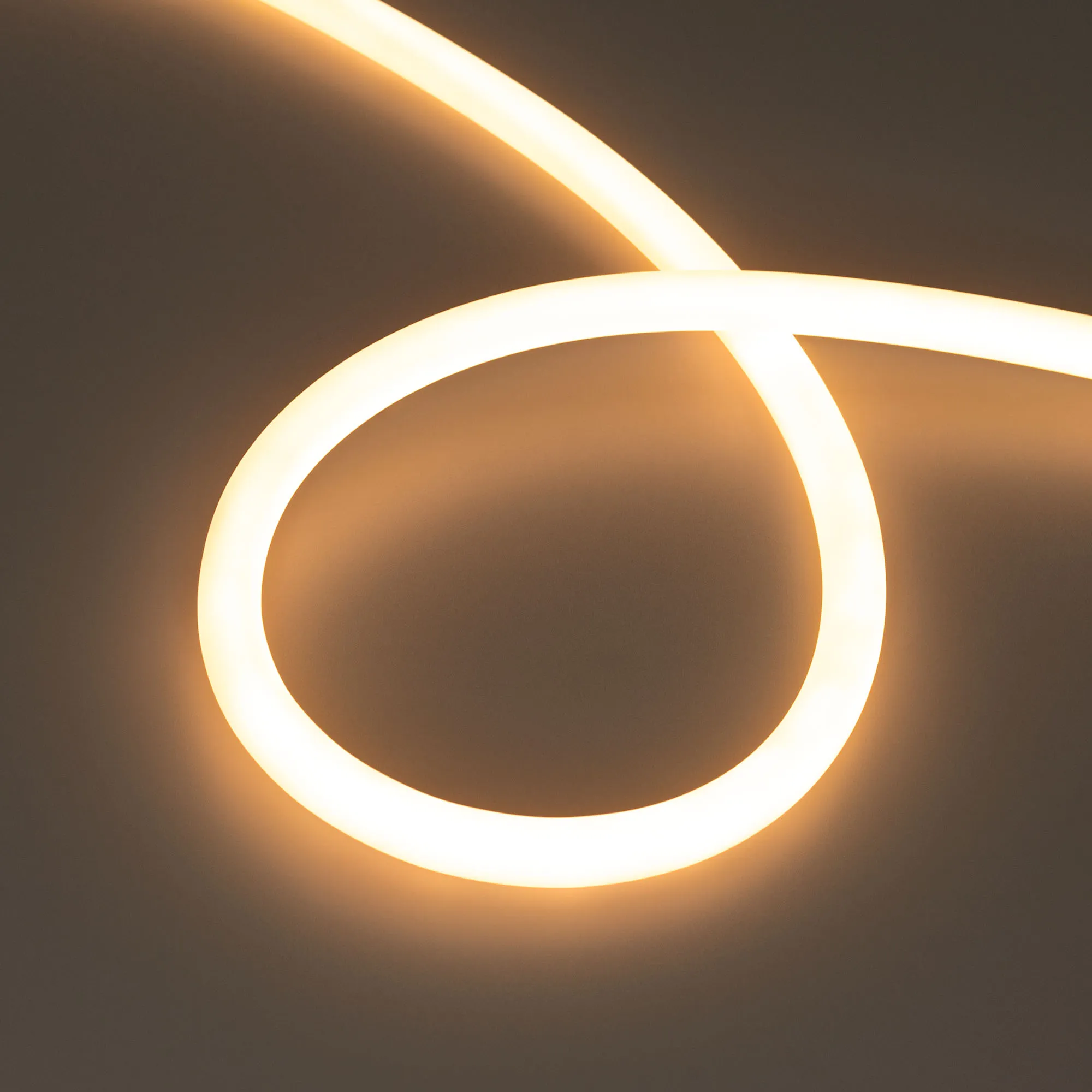Лента светодиодная герметичная MOONLIGHT-TOP-M560-D13mm 24V Warm2300 360deg (8.6 W/m, IP65, 5m, wire x1) (Arlight, Вывод прямой, 3 года) - изображение товара